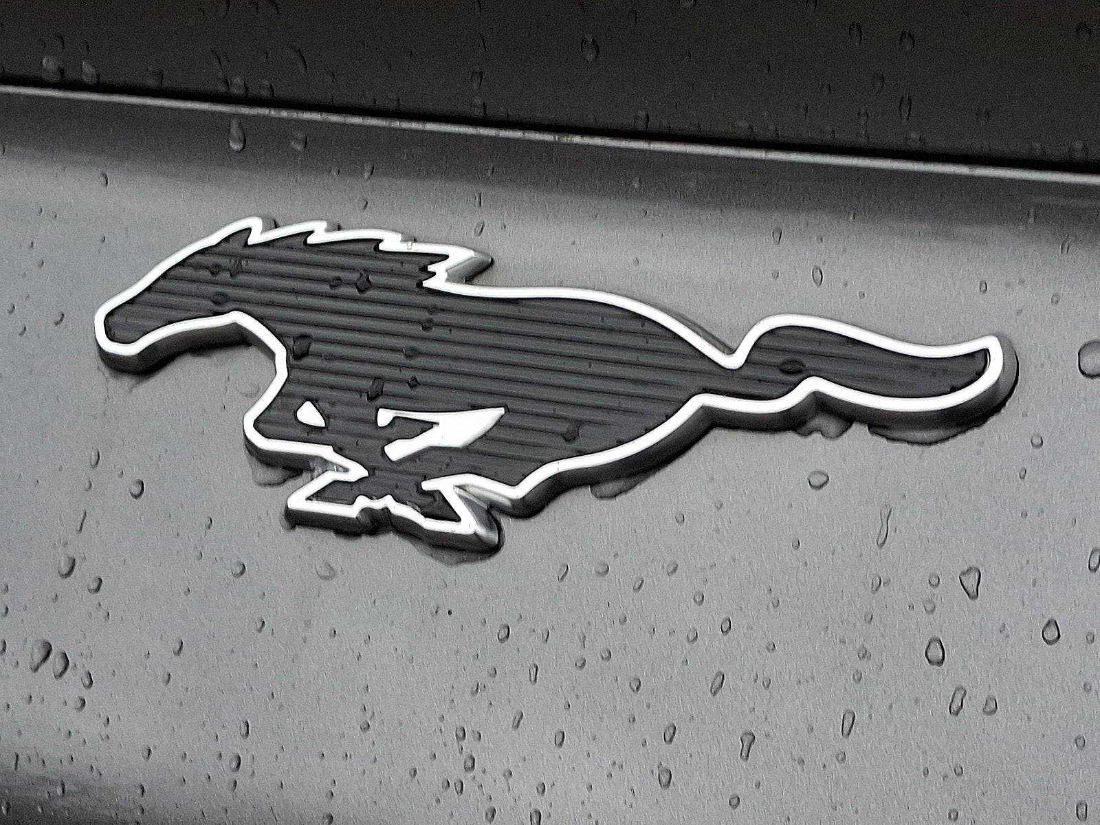 2021 Ford Mustang Mach-E Premium