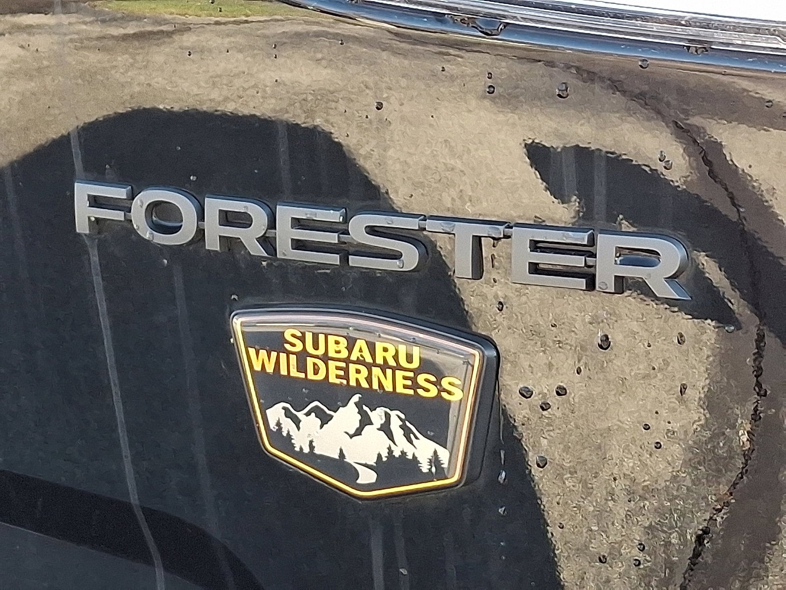 2023 Subaru Forester Wilderness